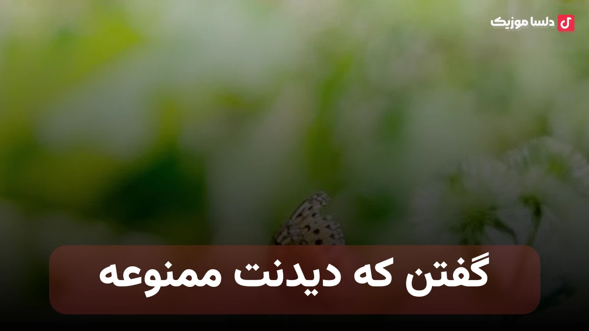 گفتن که دیدنت ممنوعه چشمامو بستم خوابتو دیدم هوش مصنوعی